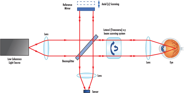 Figure 2: OCT optical diagram